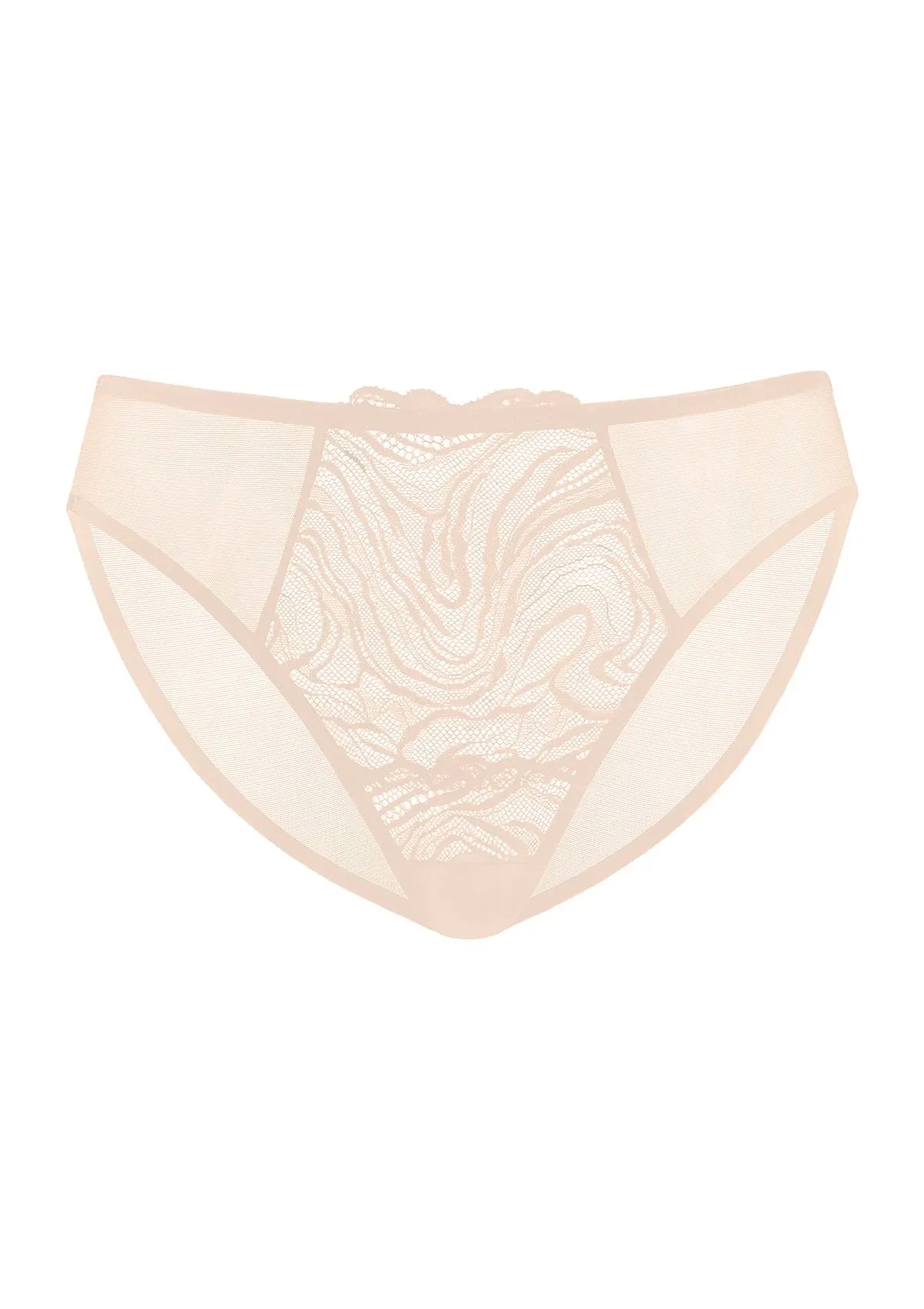 Serenata Floral High-Rise Sheer Mesh Lace Bikini Undewear - HSIA