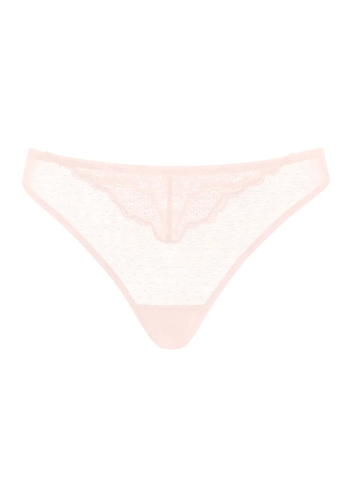 Enchante Floral Lace Sheer Mesh Back Thong Undewear - HSIA