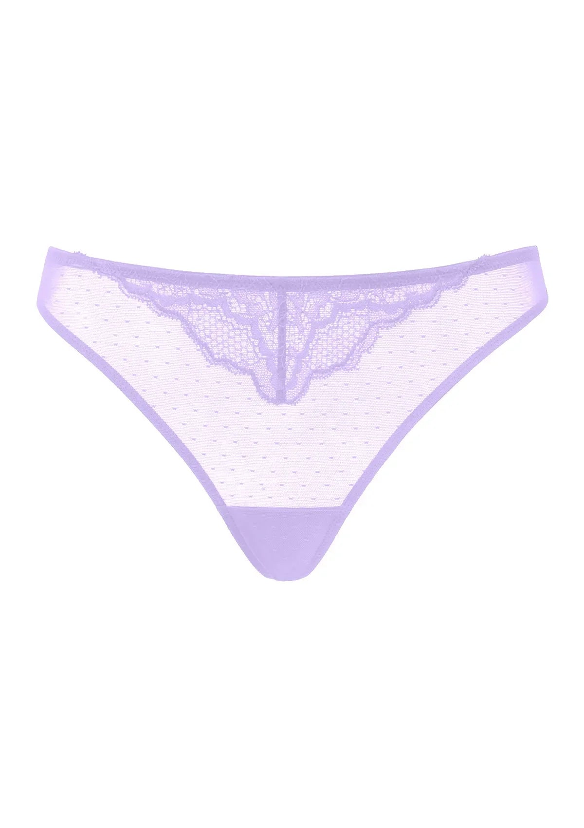 Enchante Floral Lace Sheer Mesh Back Thong Undewear - HSIA