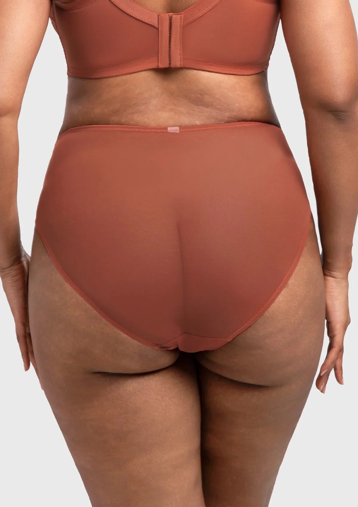 Mermaid High-Rise Lace Brief Underwear - HSIA
