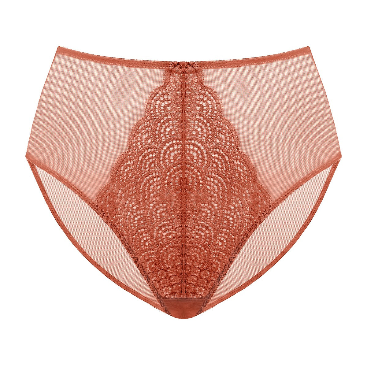 Mermaid High-Rise Lace Brief Underwear