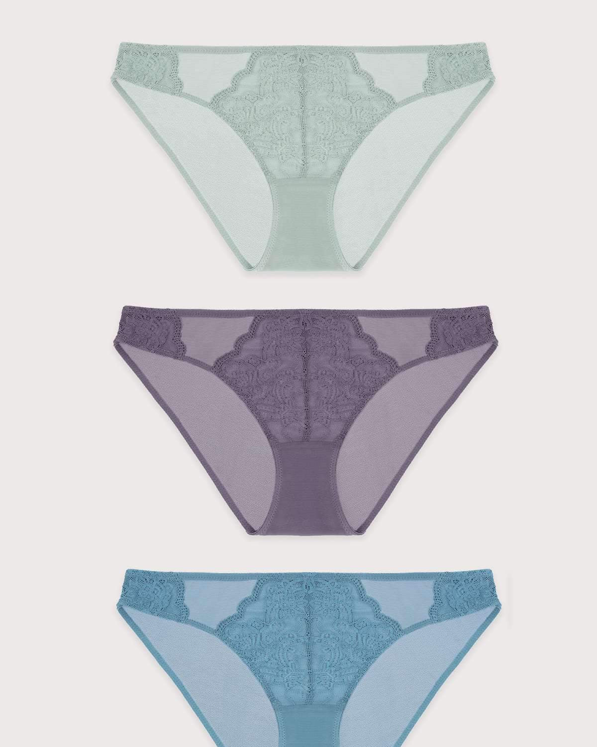 HSIA Floral Lace Bikini Panties 3 Pack - HSIA