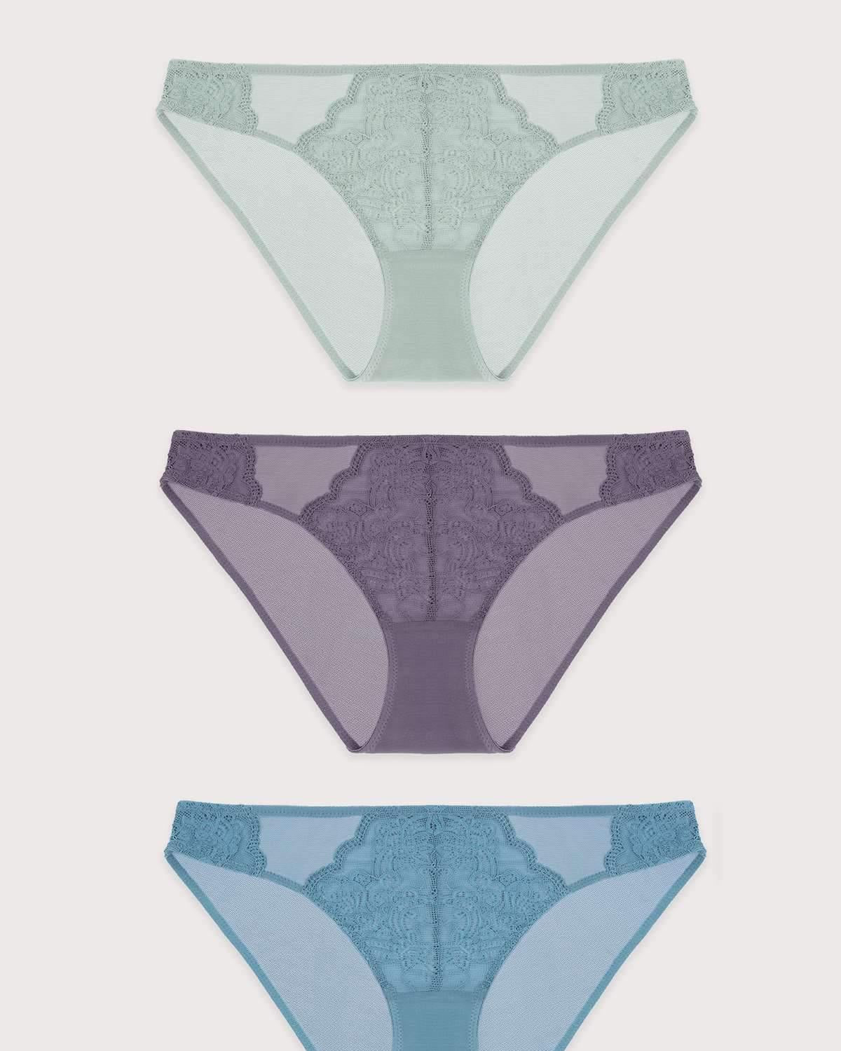 HSIA Floral Lace Bikini Panties 3 Pack - HSIA