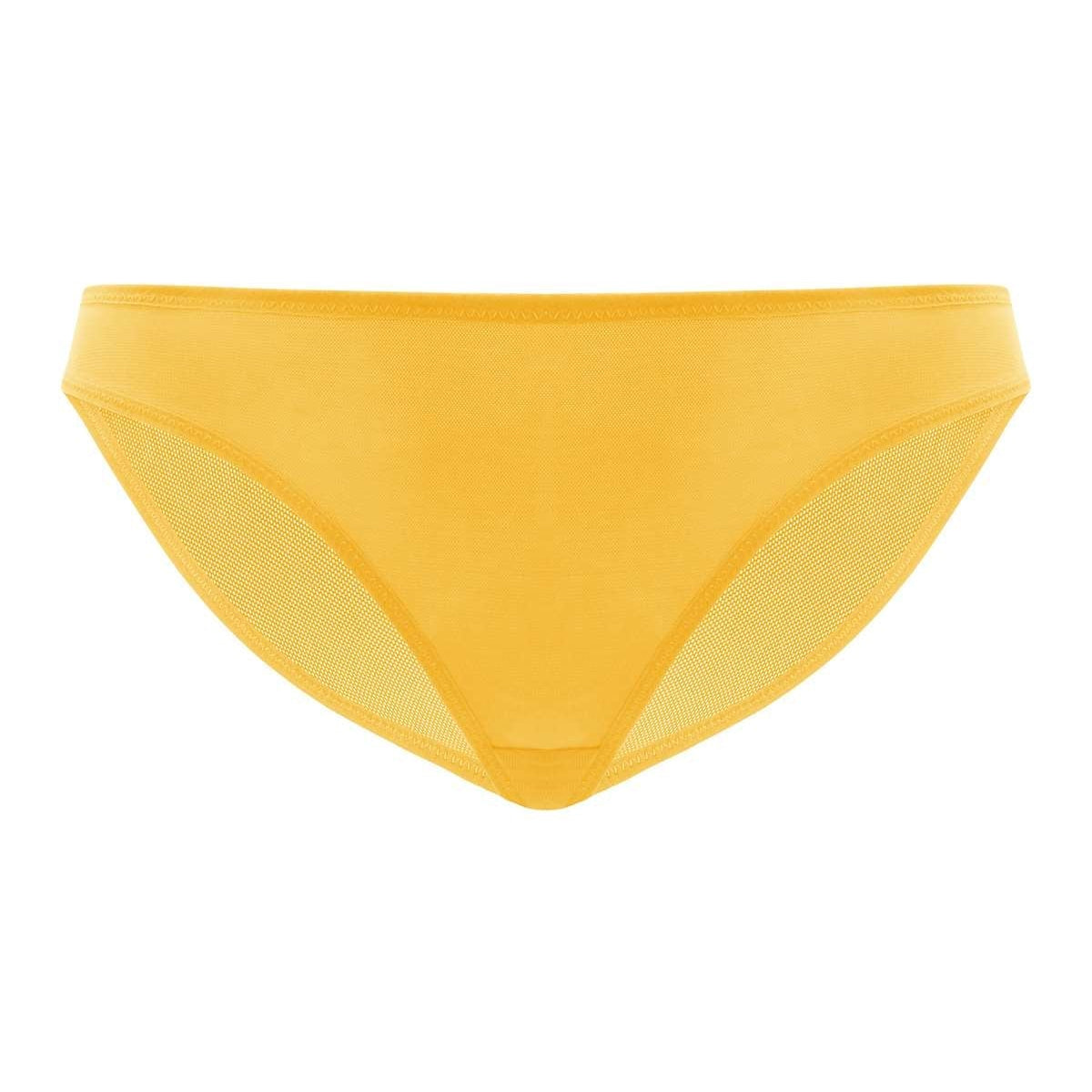 Billie Smooth Sheer Mesh Bikini Underwear - HSIA