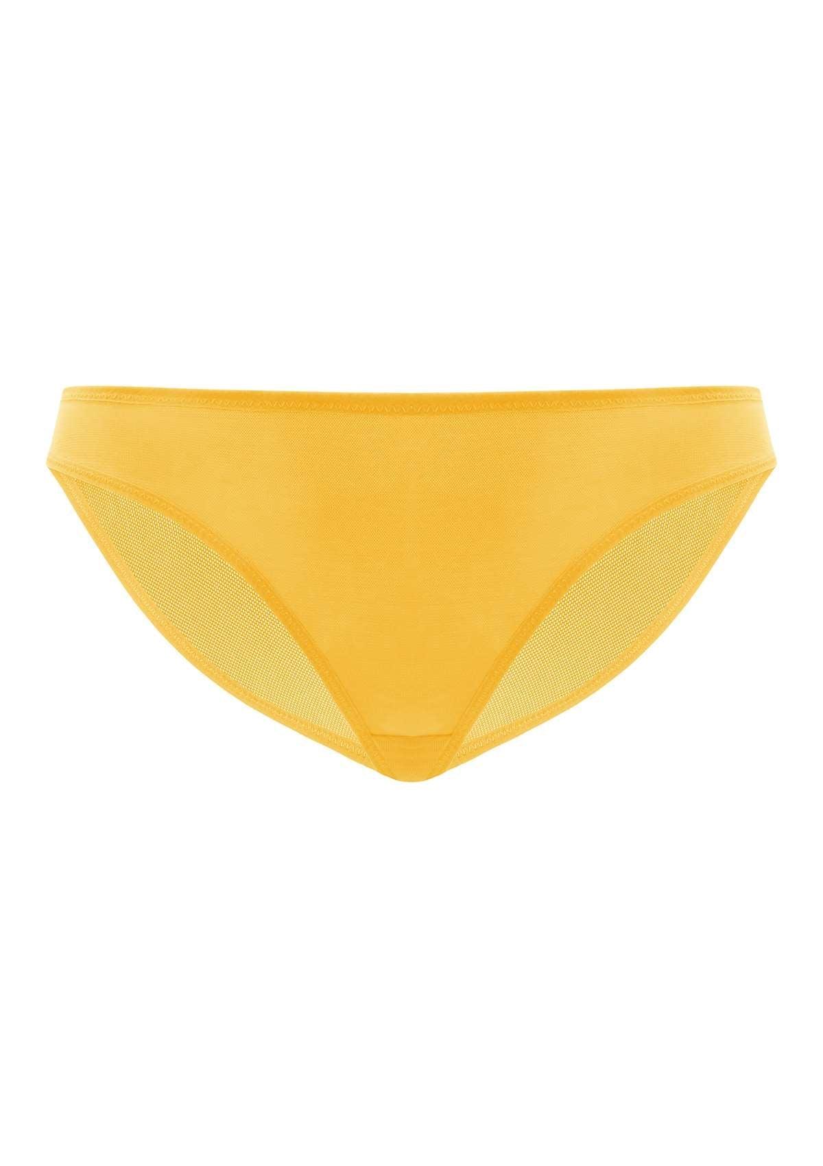Billie Smooth Sheer Mesh Bikini Underwear - HSIA