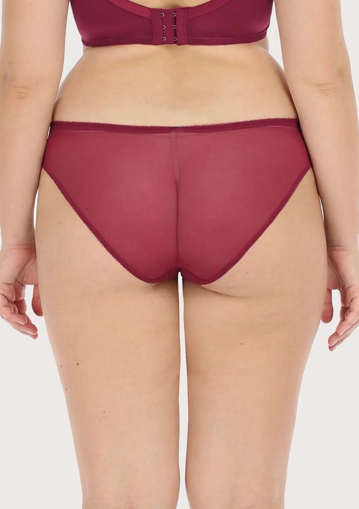 Anemone Lace Dolphin Mid-low Rise Bikini Underwear - HSIA