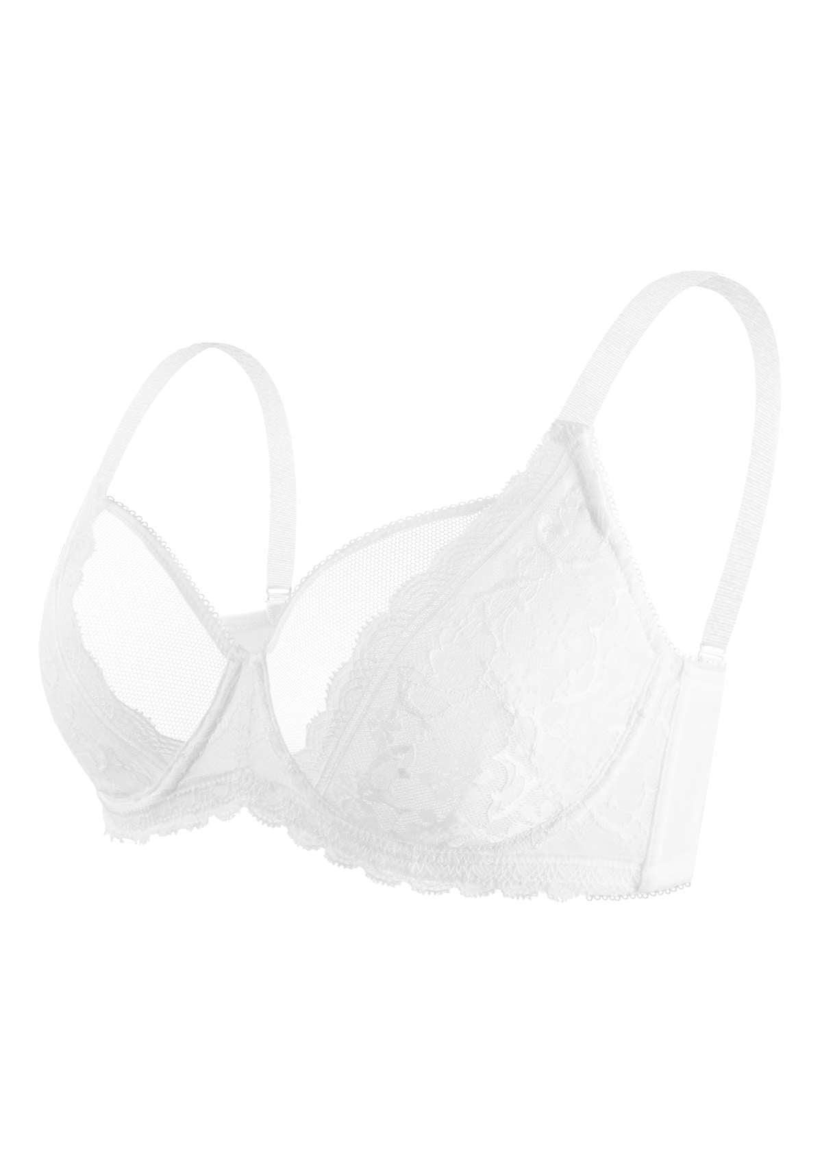 Anemone Unlined Dolphin Lace Underwire Bra - HSIA