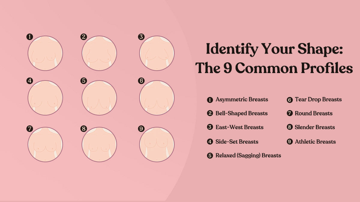 Breast Shape Dictionary 9 Types Best Bras For Each HSIA Breast Shape Dictionary 9 Types Best Bras For Each HSIA