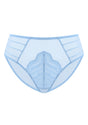 Aqua Passion High-Rise Lace Brief Underwear - HSIA