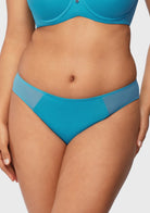 Aria Mesh Side Bikini Underwear - HSIA