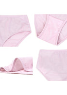 Bella Smooth Sheer Mesh Bikini Underwear - HSIA