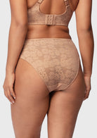 Daisy Smooth Lace High-Rise Rosy Blush Mesh Lace Back Brief Underwear - HSIA