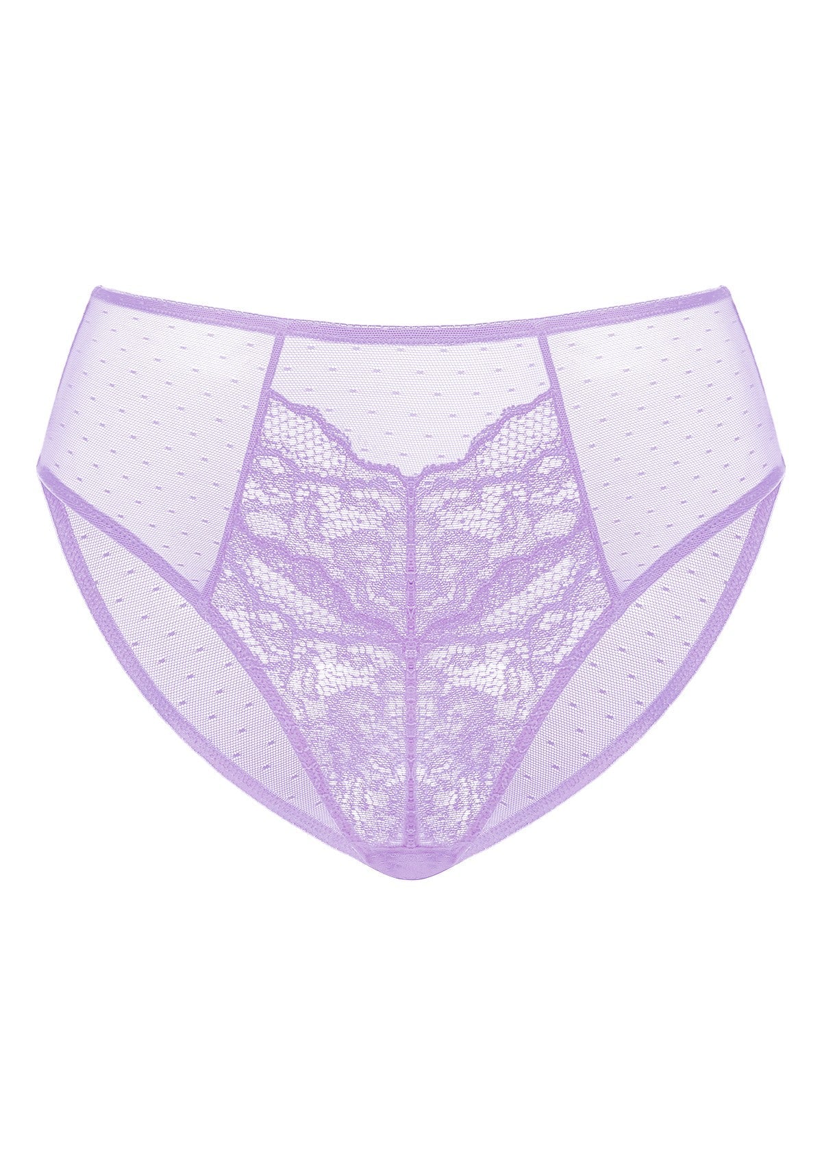 Enchante High-Rise Lace Brief Underwear - HSIA