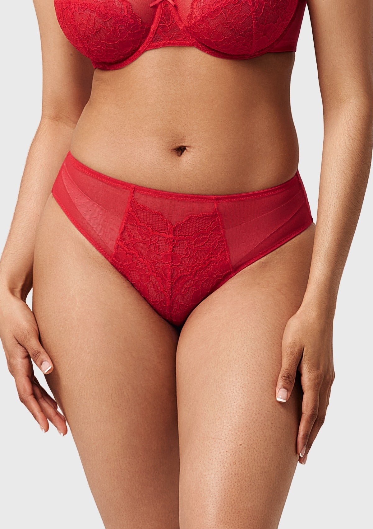 Enchante High-Rise Lace Brief Underwear - HSIA