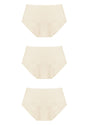 FlexiFit Soft Stretch Seamless Brief Underwear Bundle - HSIA