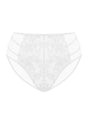 Pretty In Petals High-Rise Lace Brief Underwear - HSIA
