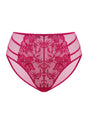 Pretty In Petals High-Rise Lace Brief Underwear - HSIA