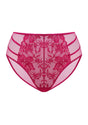 Pretty In Petals Red High-Rise Lace Brief Underwear - HSIA