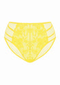 Pretty In Petals High-Rise Lace Brief Underwear - HSIA