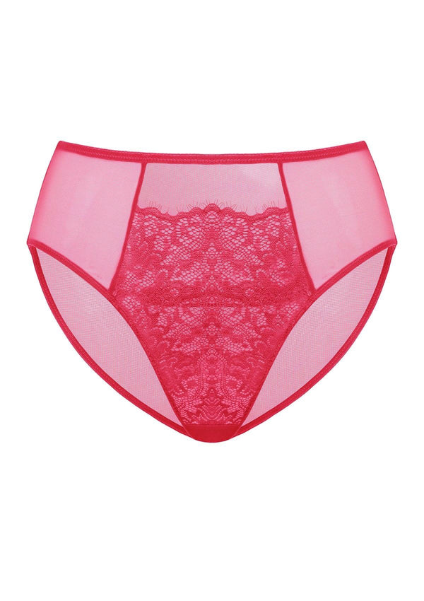 High Rise Raspberry Underwear Brief – HSIA