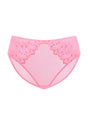 Winter Sonata Embroidered High-Rise Sheer Mesh Lace Bikini Undewear - HSIA