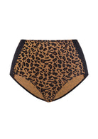 Studio view of the Black Leopard Print HSIA CoolComfort tummy control brief, featuring a chic pattern combined with light shaping support for everyday wear.