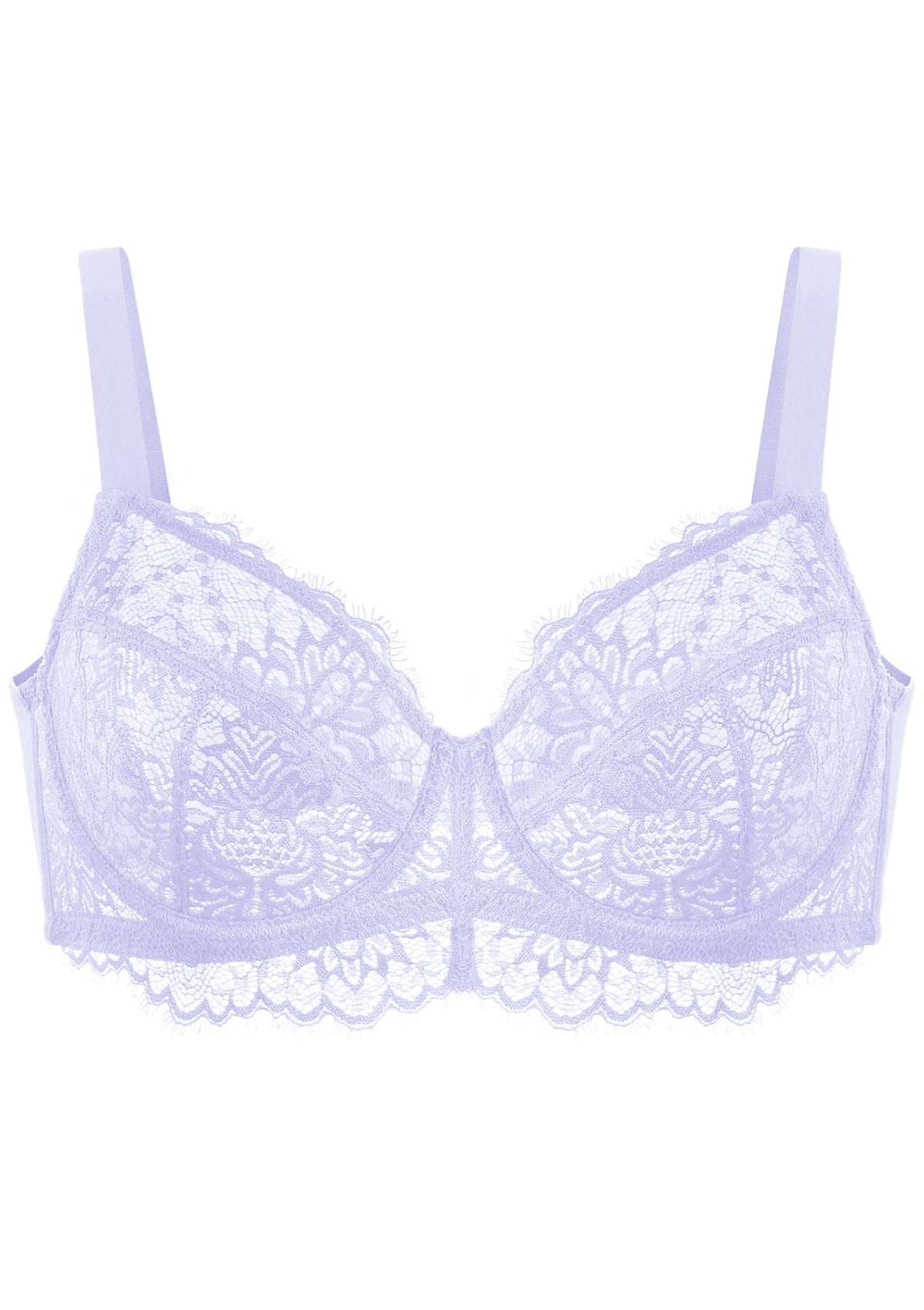 Purple Lace Brassiere Isolated On White. Stock Photo, Picture and Royalty  Free Image. Image 120721881.