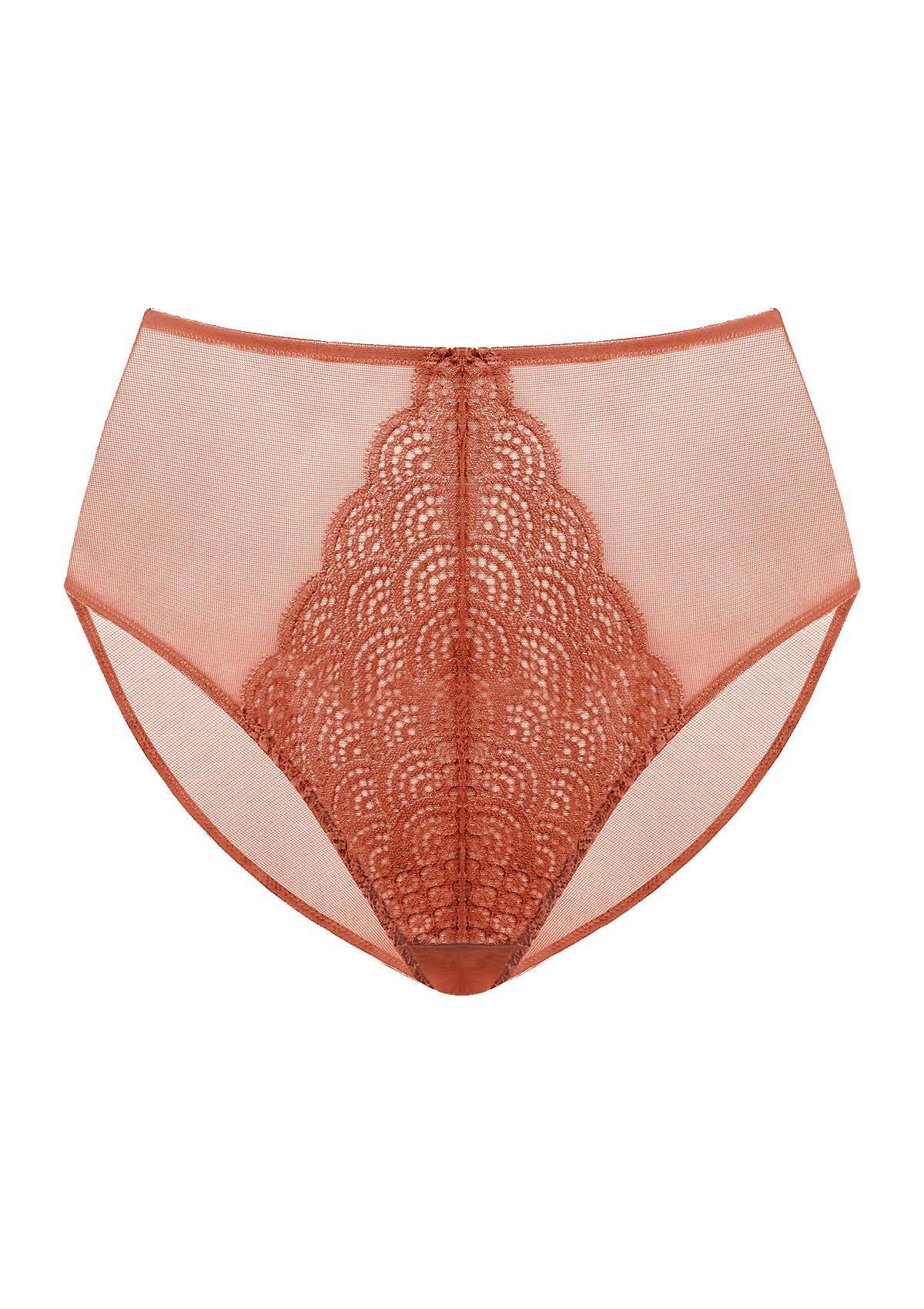 Mermaid High-Rise Lace Brief Underwear