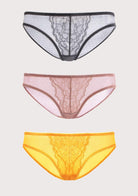 Enchante Lace Bikini Panties 3 Pack - HSIA