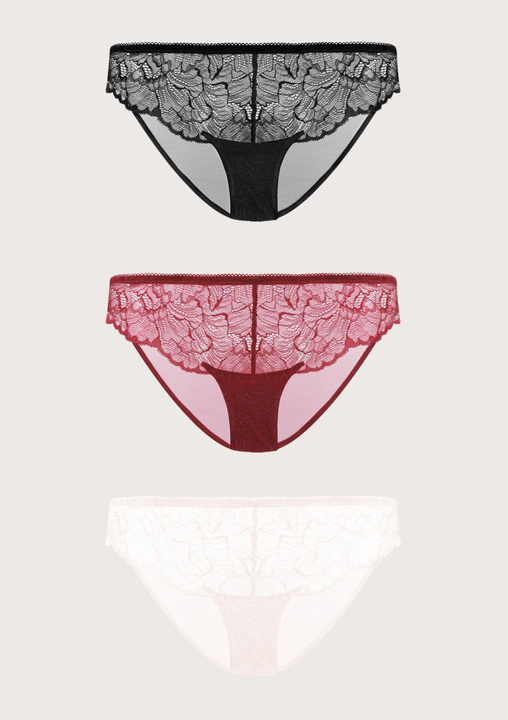 HSIA HSIA Blossom Lace Hipster Underwears 3 Pack S / Black+Burgundy+Dusty Peach
