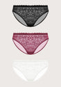 Anemone Lace Dolphin Panties 3 Pack - HSIA
