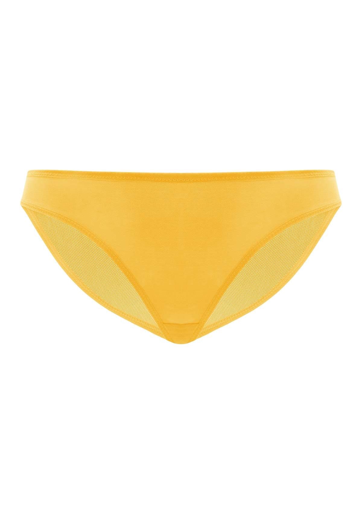 Billie Smooth Sheer Mesh Bikini Underwear - HSIA