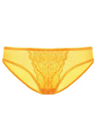 Enchante Lace Bikini Panties 3 Pack - HSIA